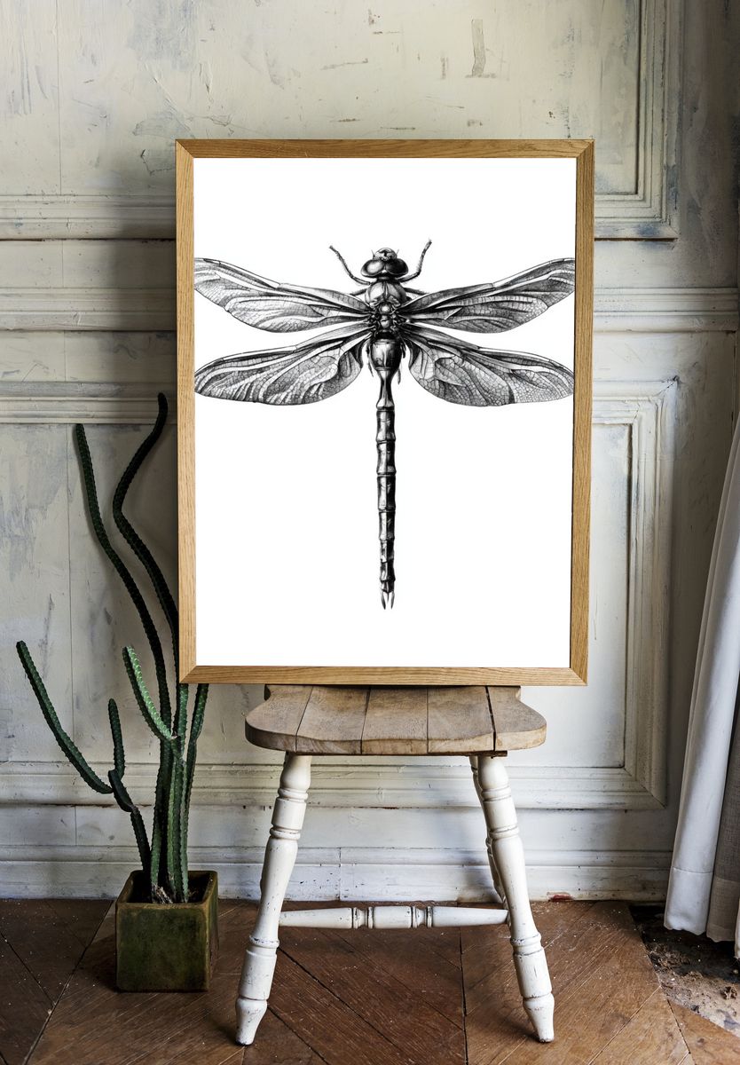 Dragonfly Ink Illustration Poster. room preview