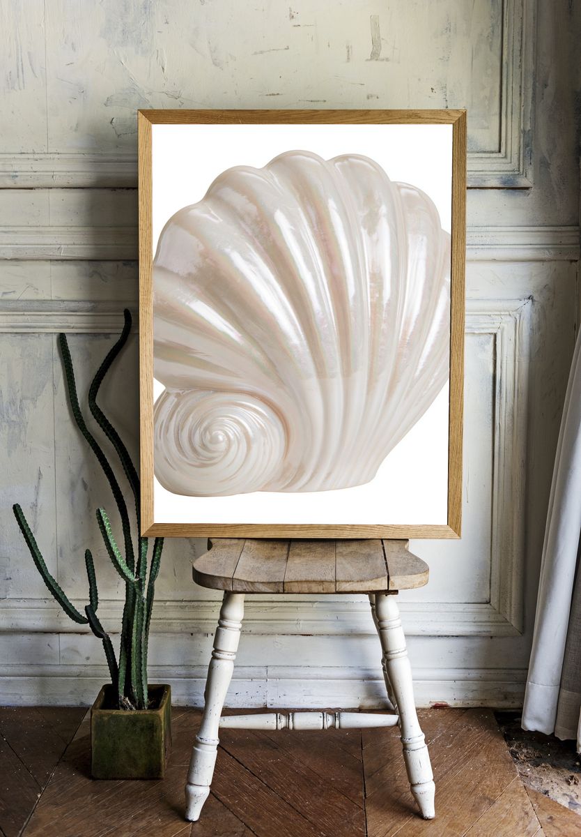 Pearl Seashell Illustration Print. room preview