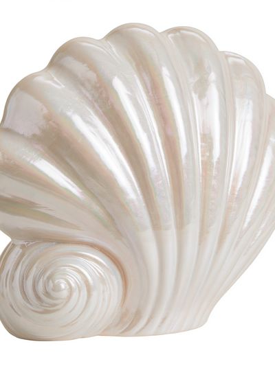 Pearl Seashell Illustration Print.