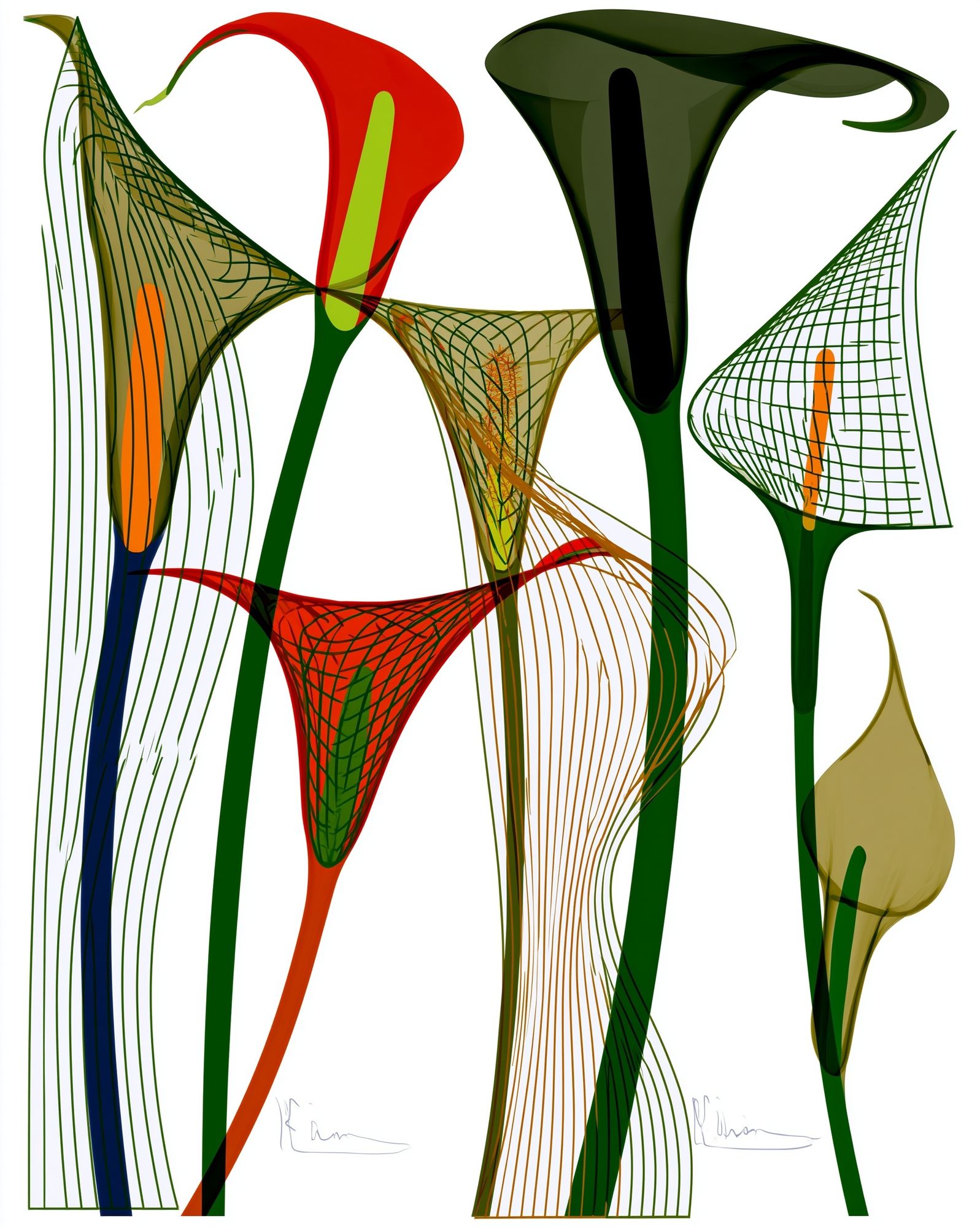Abstract Floral Line Art Poster. poster — illustration art