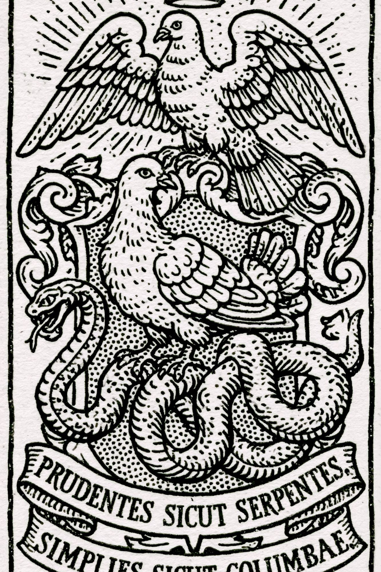 Prudentes Sicut Serpentes Print. poster — illustration art