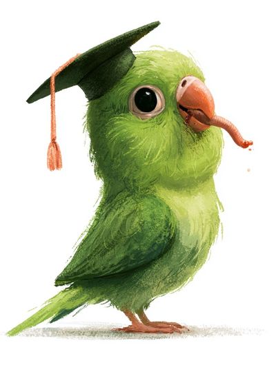 Graduation Parrot Watercolor Poster. poster