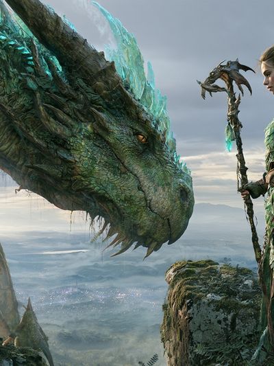 Dragon and Warrior Fantasy Print. poster