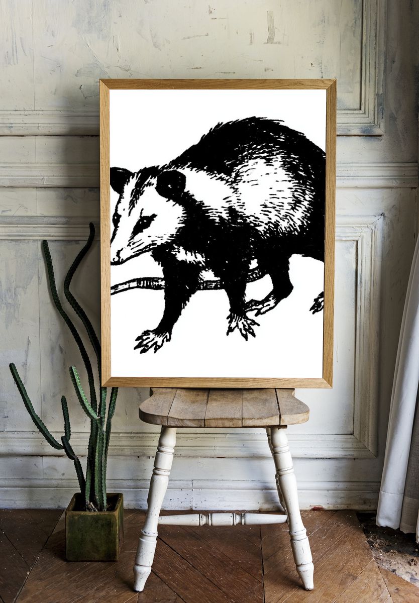 Opossum Ink Illustration Poster. — room view 1