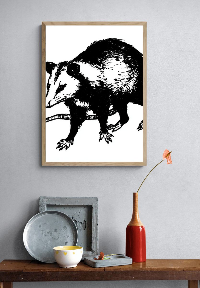 Opossum Ink Illustration Poster. — room view 3
