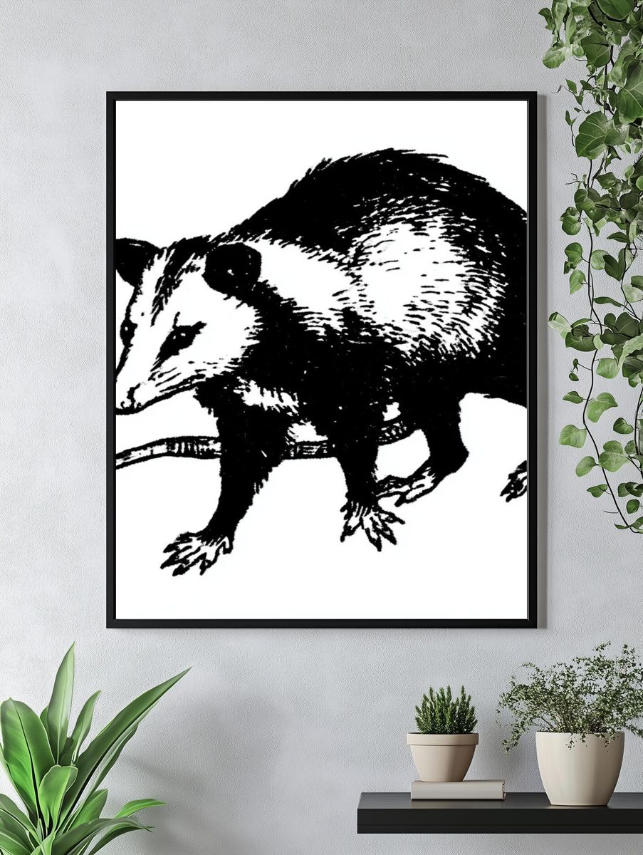 Opossum Ink Illustration Poster. — room view 4