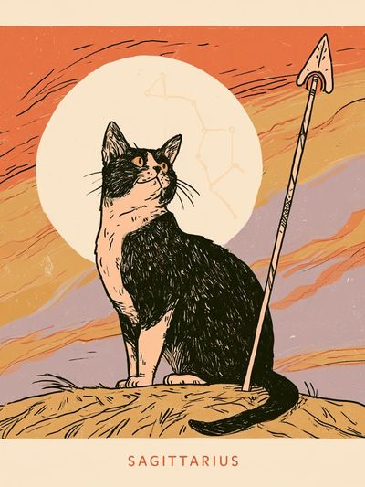 Sagittarius Cat Illustration Poster. poster