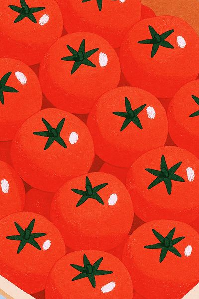 Tomato Crate Illustration Poster. poster print