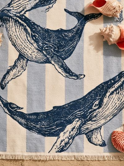 Whale Stripe Illustration Poster.