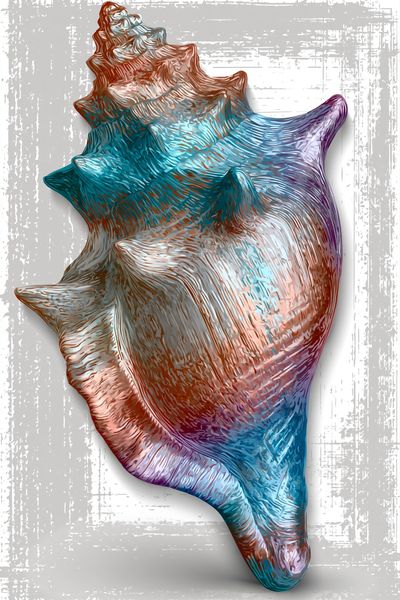 Colorful Seashell Illustration Poster. poster
