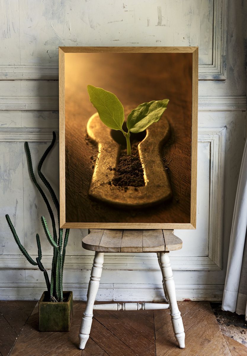 Keyhole Seedling Illustration Poster. room preview