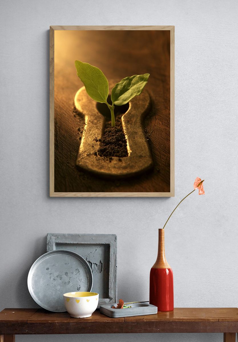 Keyhole Seedling Illustration Poster. — room view 3