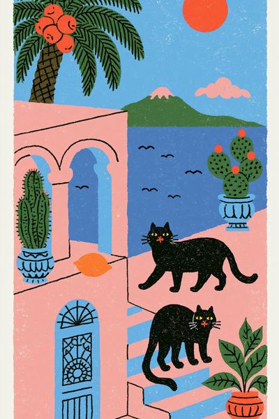 Mediterranean Cats Illustration Poster.