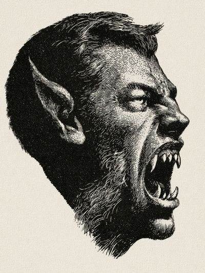 Werewolf Profile Illustration Poster.