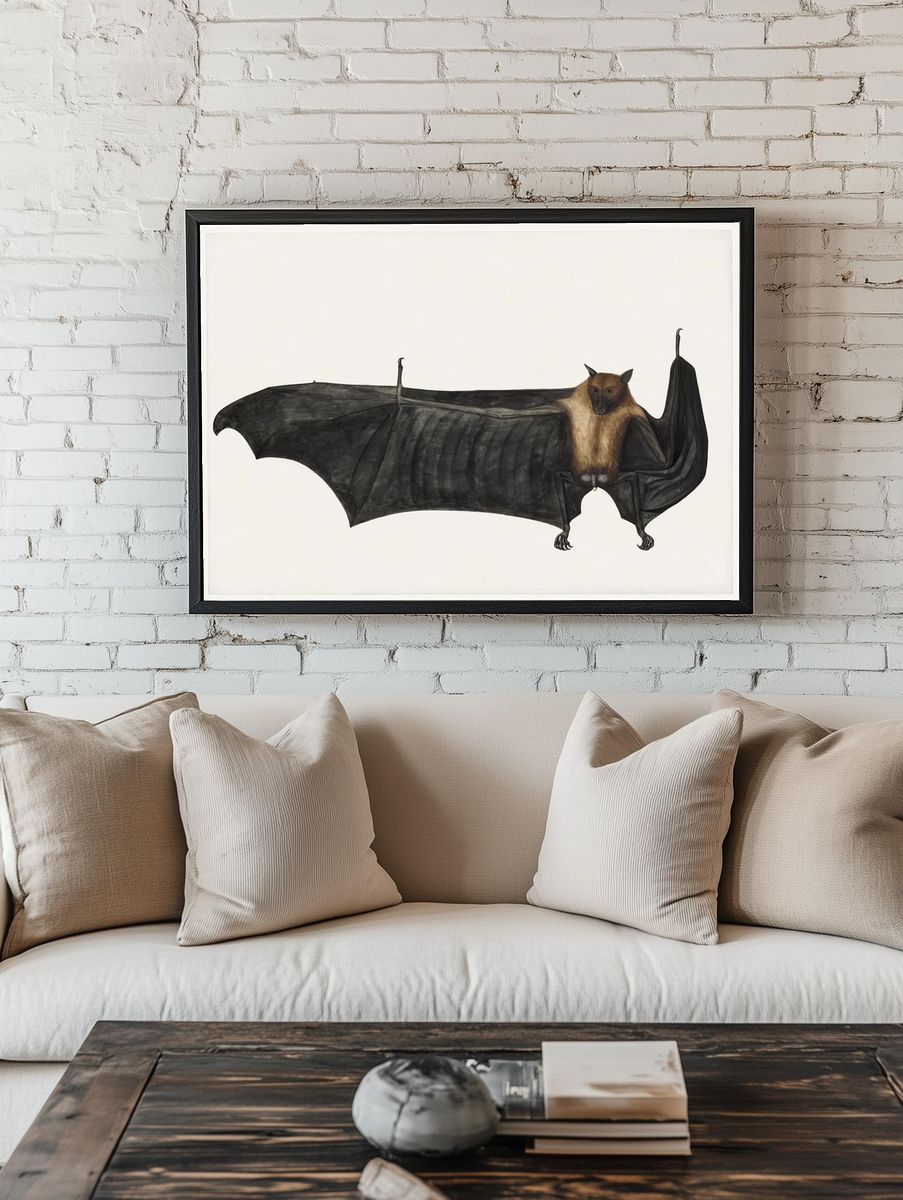 Great Indian Fruit Bat (ca. 1777–1782). — room view 1