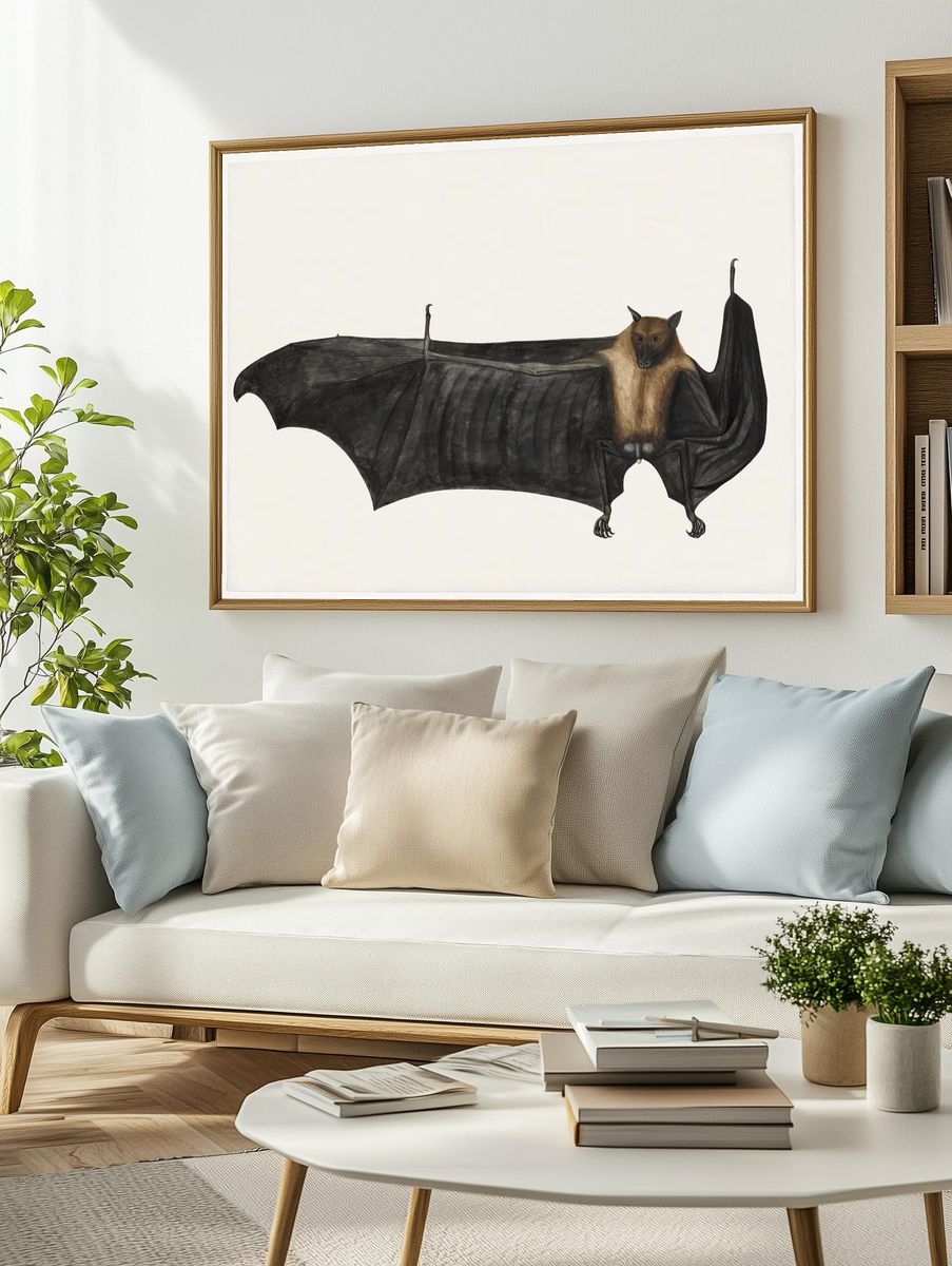 Great Indian Fruit Bat (ca. 1777–1782). — room view 2