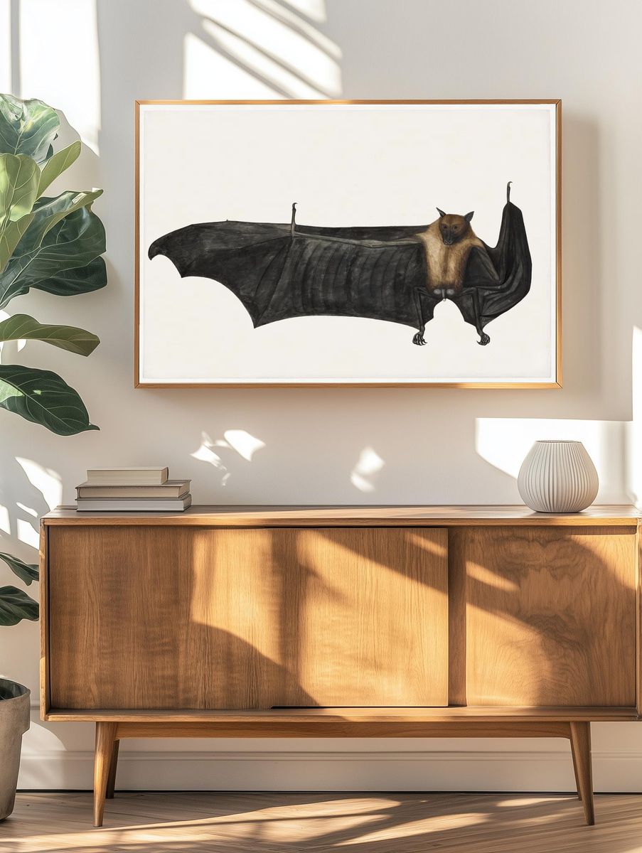 Great Indian Fruit Bat (ca. 1777–1782). — room view 3