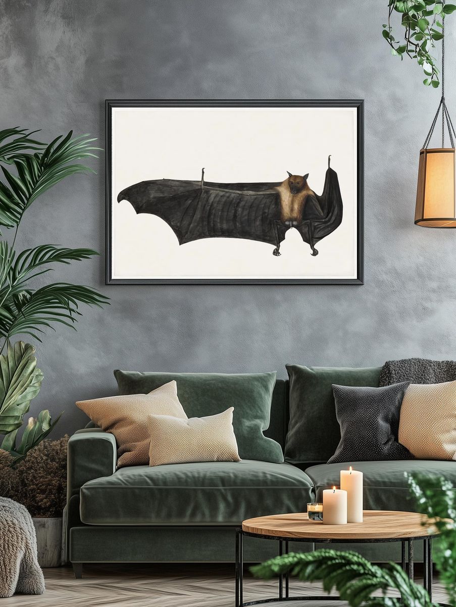 Great Indian Fruit Bat (ca. 1777–1782). — room view 4