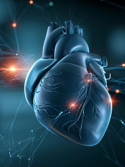 Digital Heart Anatomy Poster.