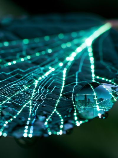 Neon Circuit Reflection Poster.