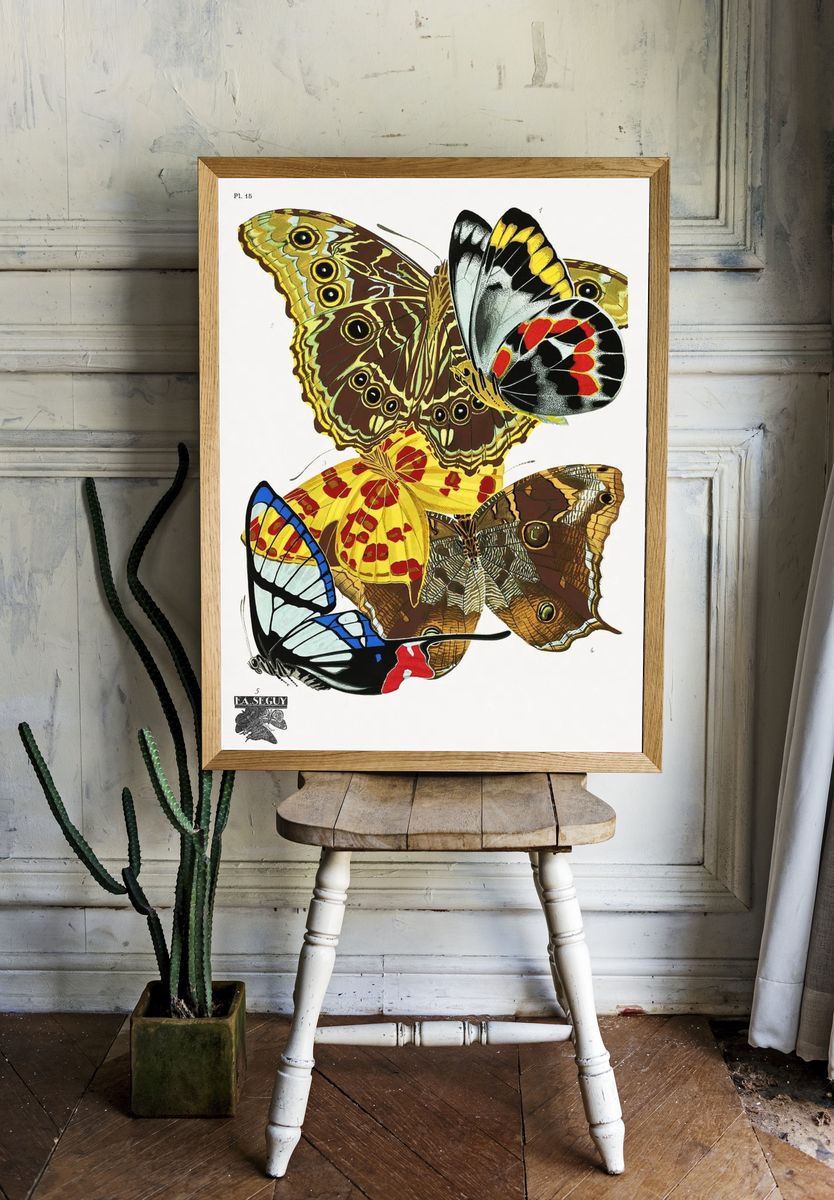 Butterfly Study Illustration Poster. — room view 1