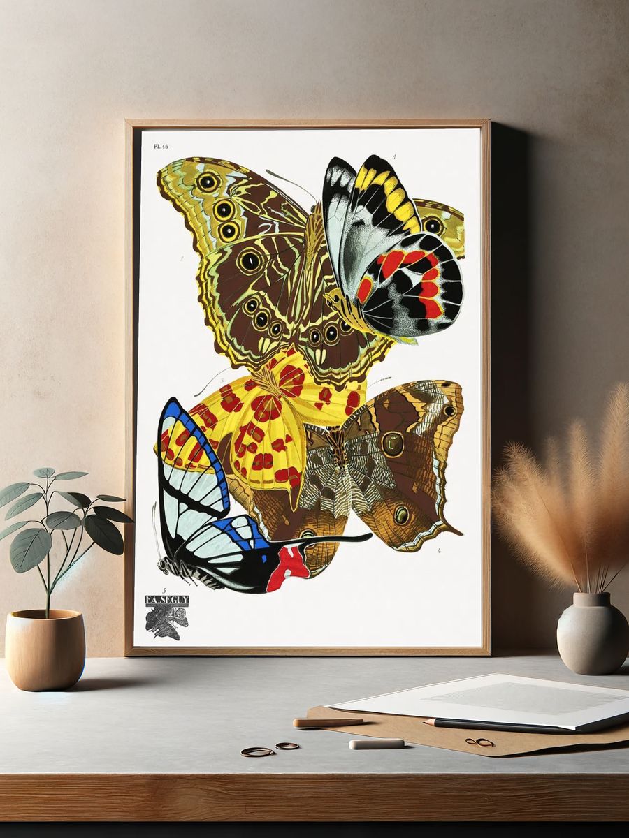 Butterfly Study Illustration Poster. — room view 2