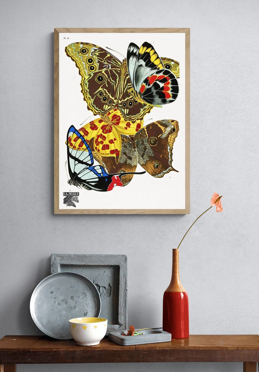 Butterfly Study Illustration Poster. — room view 3