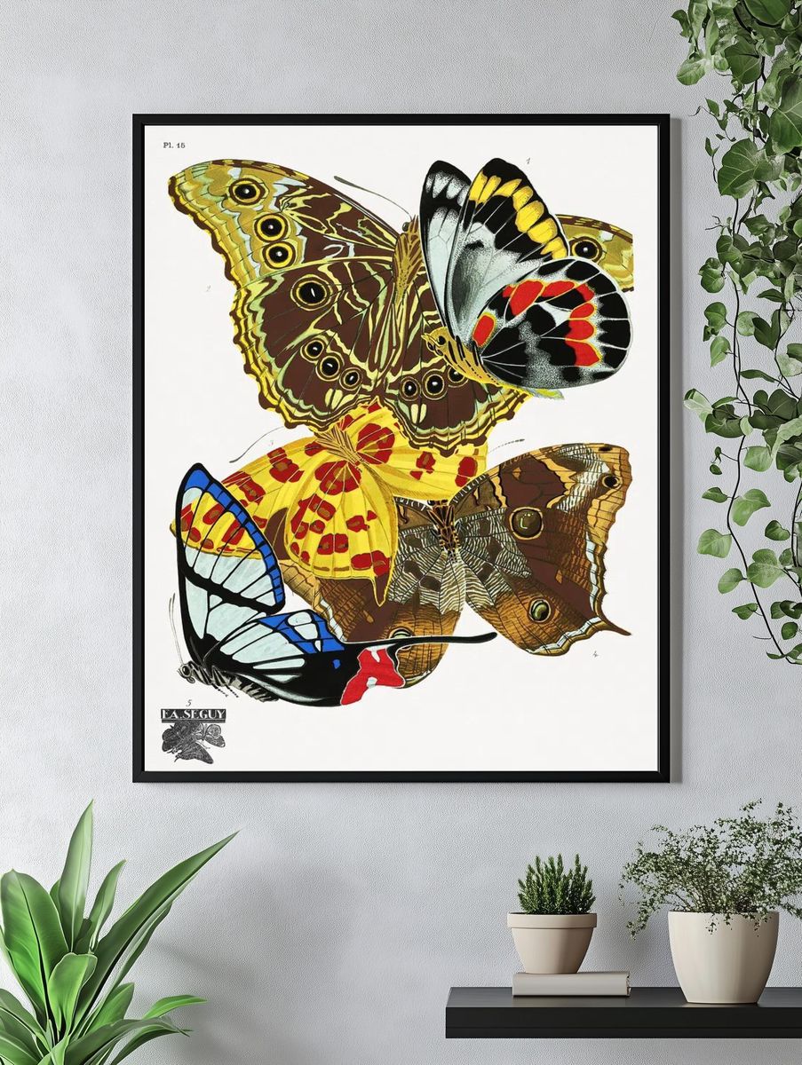 Butterfly Study Illustration Poster. — room view 4