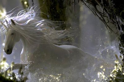 Mystic Unicorn Forest Print. poster
