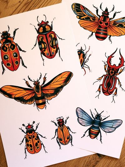 Colorful Insect Study Illustration Poster.