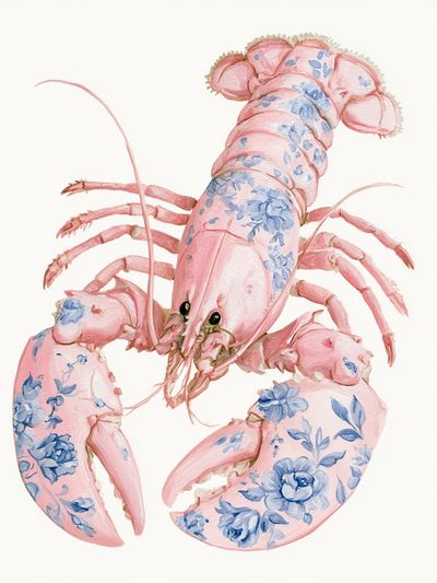 Floral Lobster Illustration Poster.