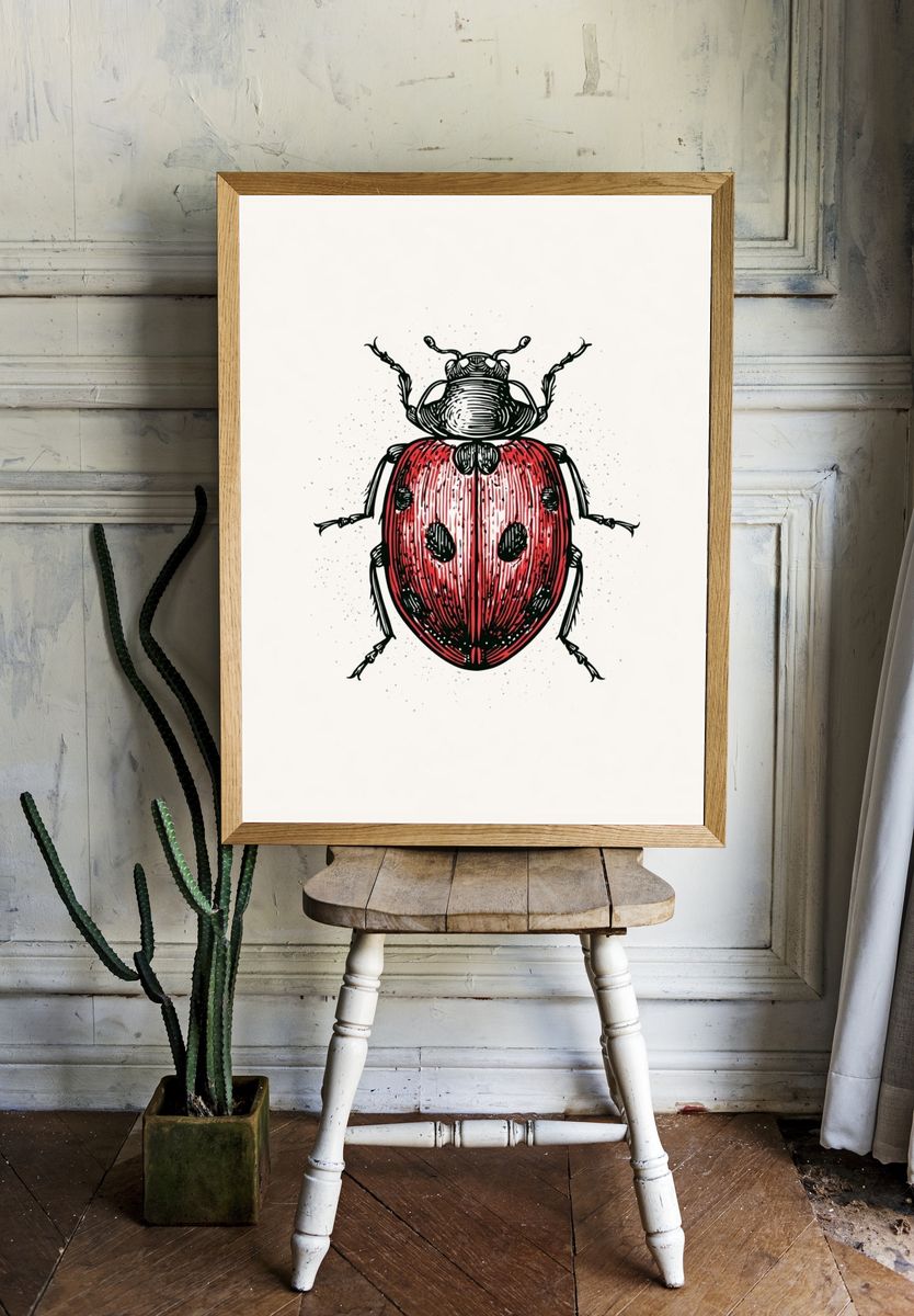 Ladybug Ink Illustration Poster. — room view 1