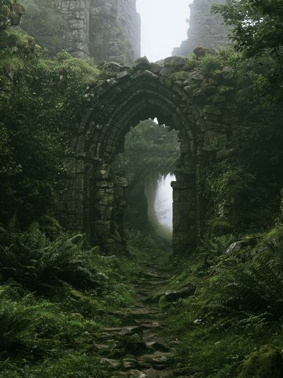 Mossy Ruins Forest Arch Poster.
