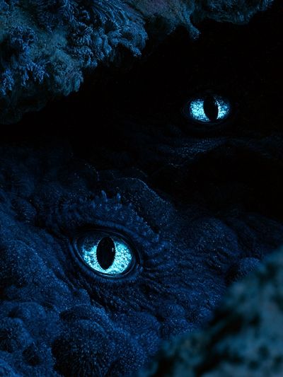 Blue Dragon Eyes Illustration Poster.