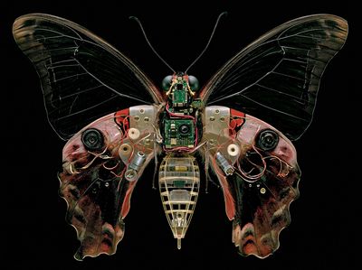 Cyber Butterfly Digital Art Print.
