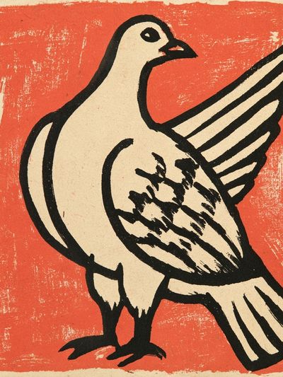 Pigeon Linocut Illustration Poster.