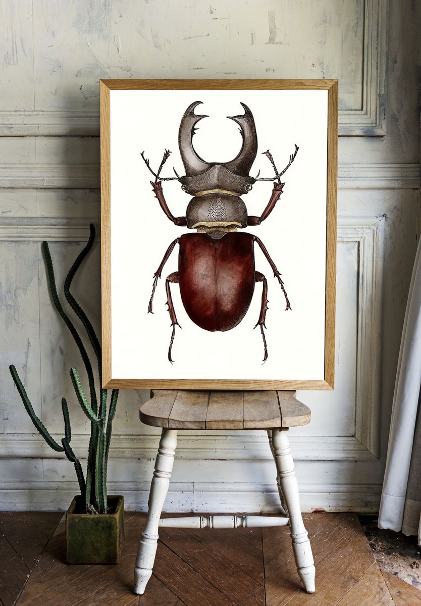 Stag Beetle Illustration Poster. room preview