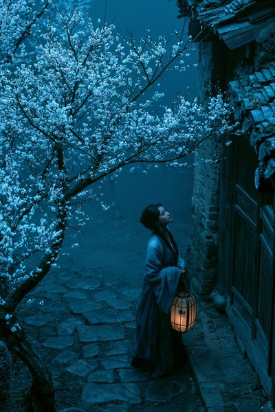 Moonlit Blossom Path Illustration Poster.