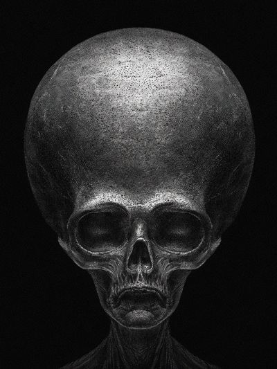 Surreal Alien Skull Print. poster
