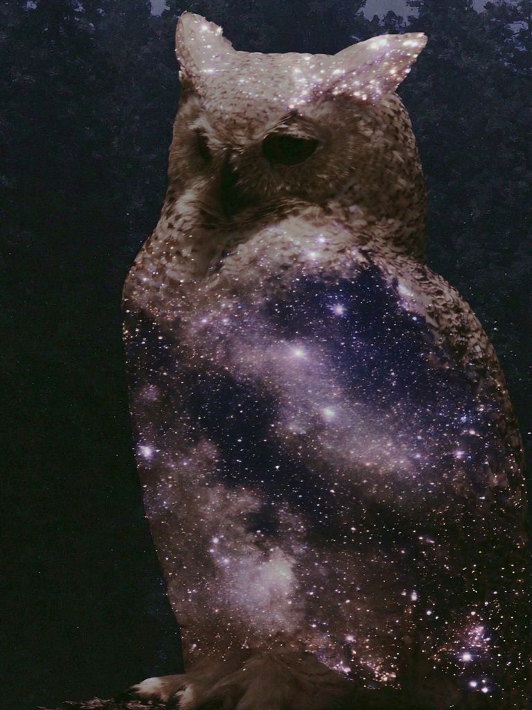 Cosmic Owl Illustration Poster. poster detail