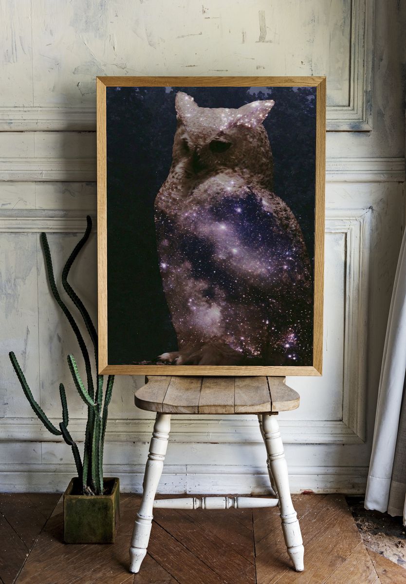 Cosmic Owl Illustration Poster. — room view 1