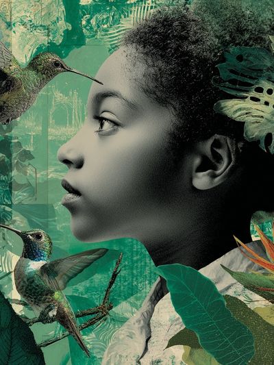 Hummingbird Jungle Portrait Print.