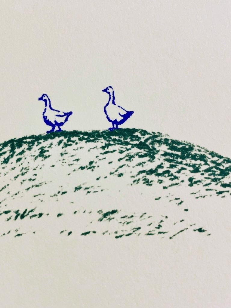 Two Geese on Hill Illustration Poster. poster — illustration art