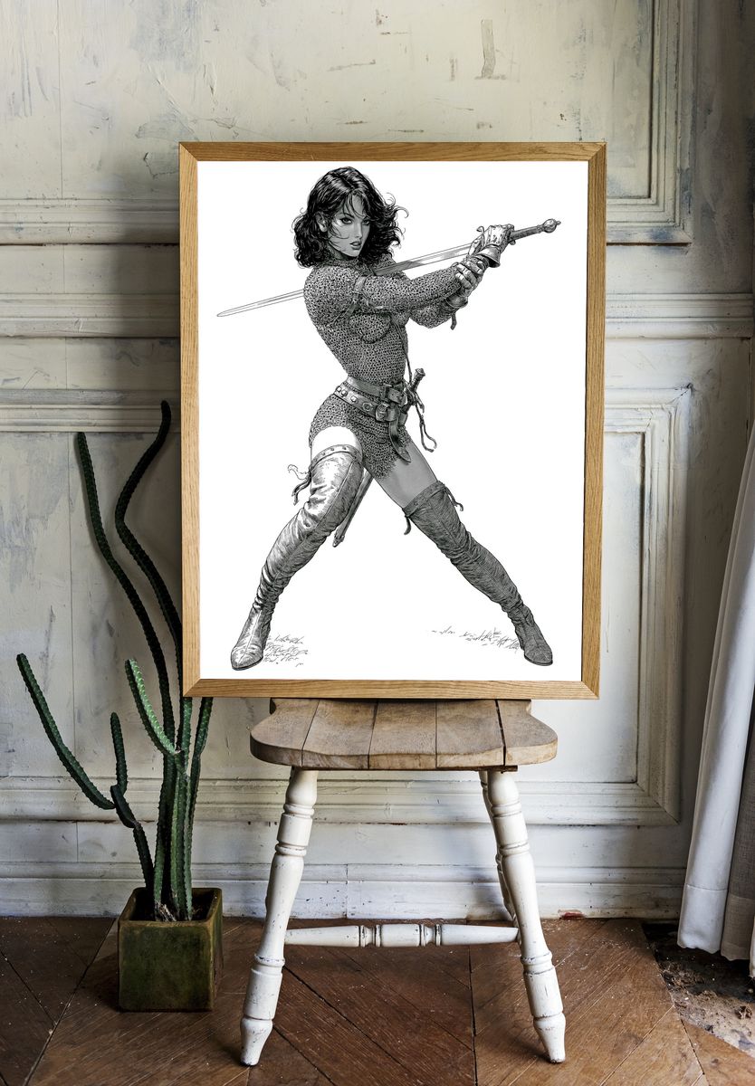 Sword Warrior Illustration Poster. room preview