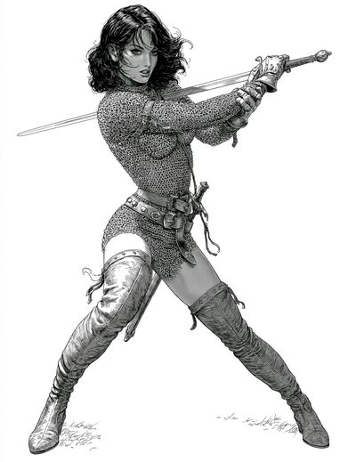Sword Warrior Illustration Poster. poster