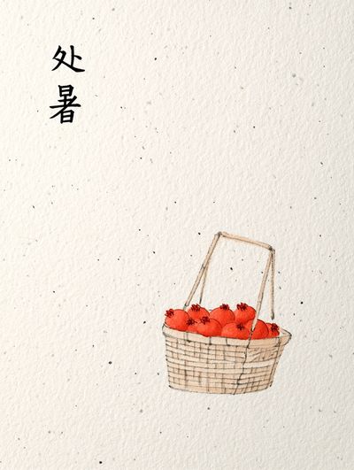 Persimmons Basket Watercolor Print.