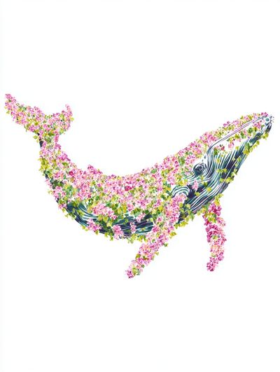Floral Whale Illustration Poster. poster print