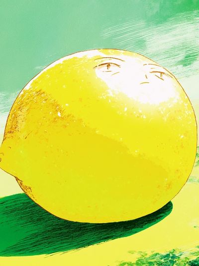 Lemon Still Life Illustration Poster.
