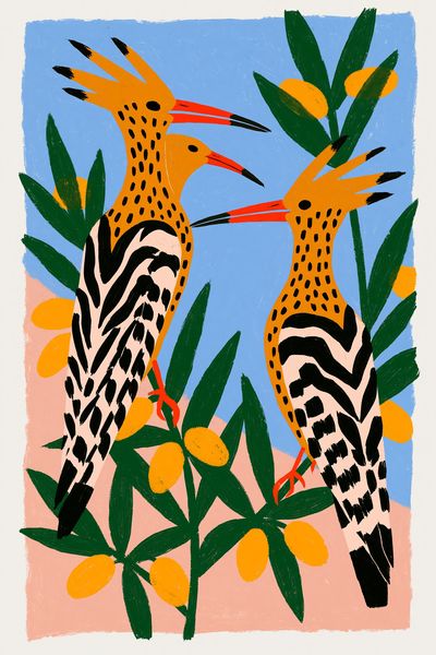 Tropical Hoopoe Birds Illustration Poster.