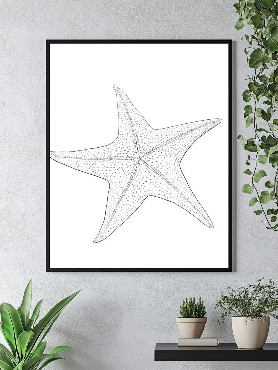 Starfish Line Art Print. — room view 4